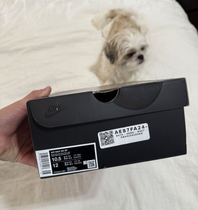 Supreme Air Max Dn Black Galactic Jade