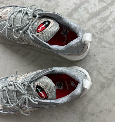 Supreme Nike Air Max 98 snakeskin
