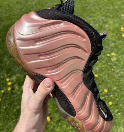 Air Foamposite One Elemental Rose 2018 Size 11