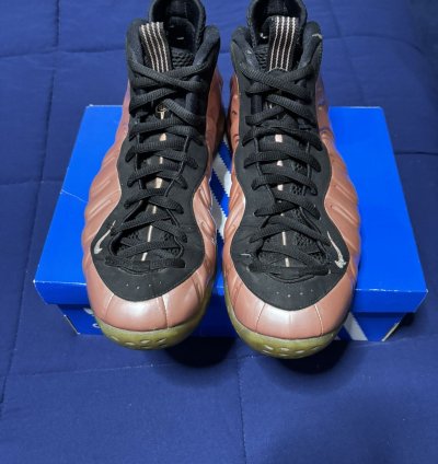 Air Foamposite One Elemental Rose 2018 Size 11