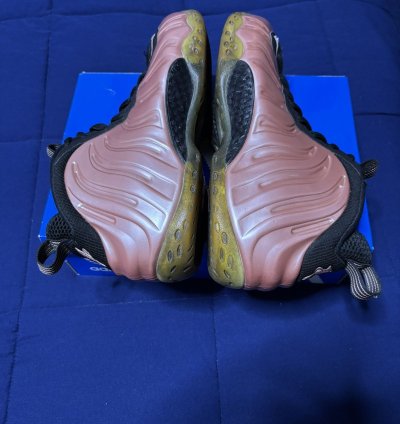 Air Foamposite One Elemental Rose 2018 Size 11
