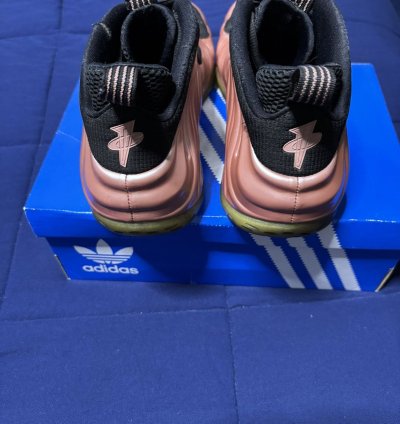 Air Foamposite One Elemental Rose 2018 Size 11