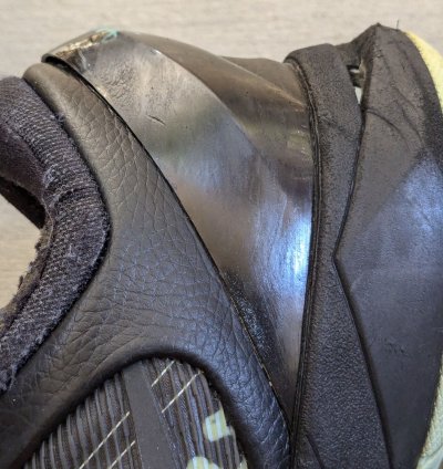 Nike Kobe Vii 7 Men 10 5 Poison Dart Frog 488371-300