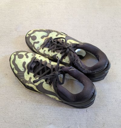 Nike Kobe Vii 7 Men 10 5 Poison Dart Frog 488371-300