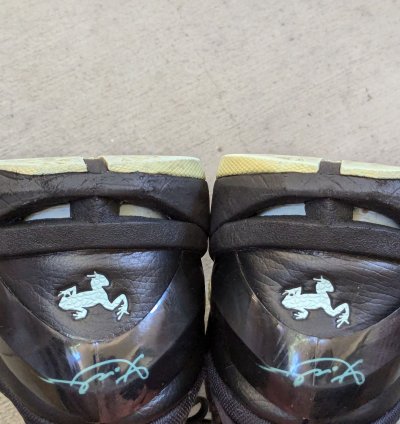 Nike Kobe Vii 7 Men 10 5 Poison Dart Frog 488371-300