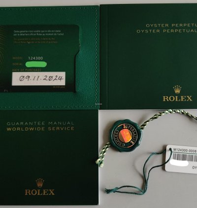 Rolex Oyster Perpetual 41 124300 41 Celebration Dial stickers