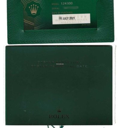 Rolex Oyster Perpetual 41 Steel Turquoise Dial Mens Watch Box Papers 21 124300