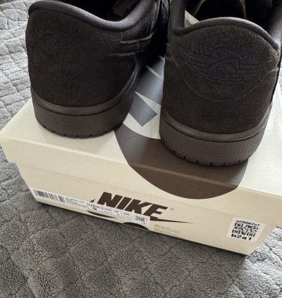 Travis Scott Jordan 1