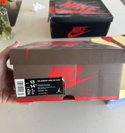 Travis Scott Jordan 1 High