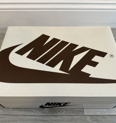 Travis Scott Jordan 1 Retro Low Velvet Brown Dark Mocha 12