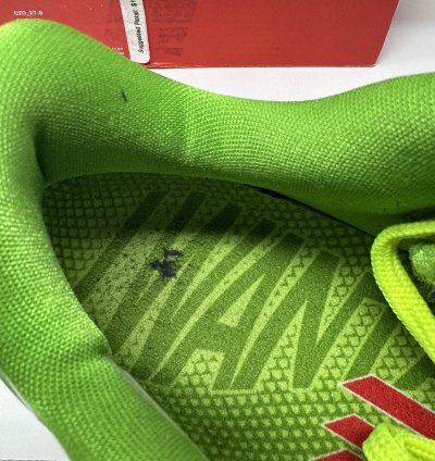 Nike Zoom Kobe 6 Protro Grinch 2020