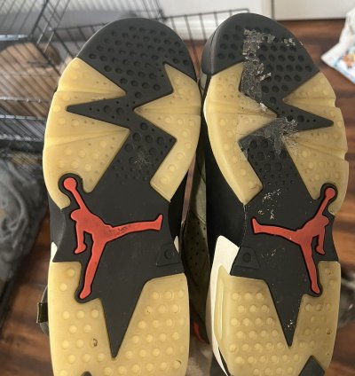 Travis Scott Jordan 6