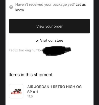 Union La Jordan 1 - Chicago Shadow- Size 11 5