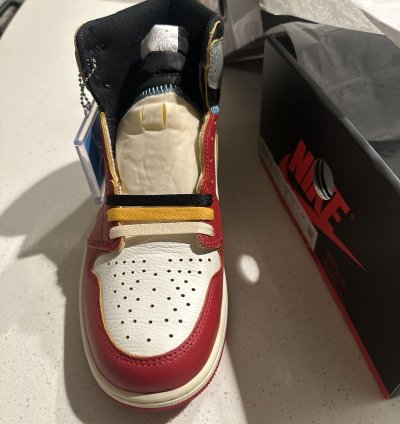 Union La Jordan 1 Back