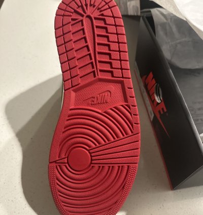 Union La Jordan 1 Back