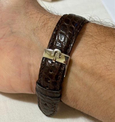 Omega Ranchero