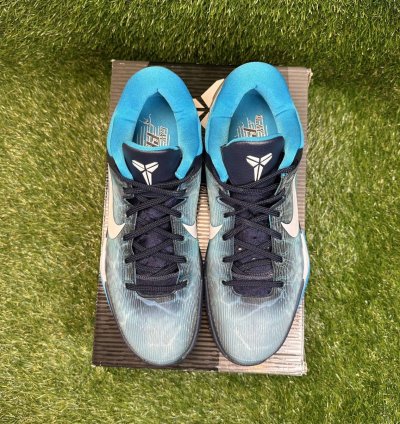 Zoom Kobe 7 System Shark