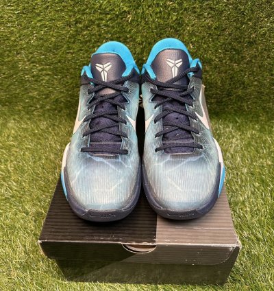 Zoom Kobe 7 System Shark