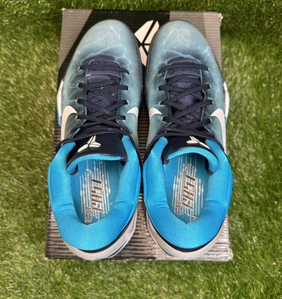 Zoom Kobe 7 System Shark