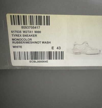 New Balenciaga Tyrex