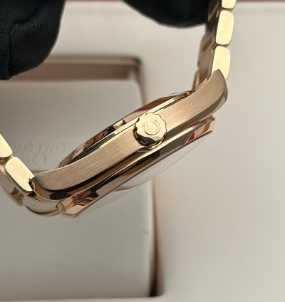 Omega Seamaster Aqua Terra 231 50 42 21 06 001