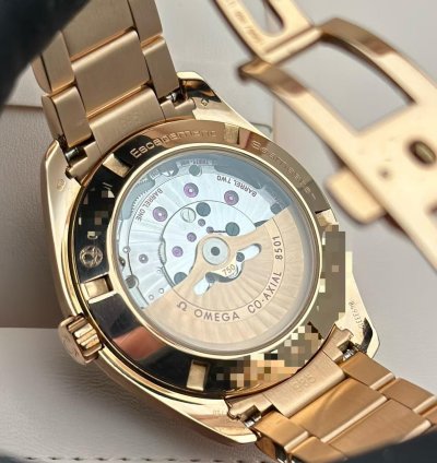 Omega Seamaster Aqua Terra 231 50 42 21 06 001