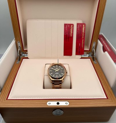 Omega Seamaster Aqua Terra 231 50 42 21 06 001