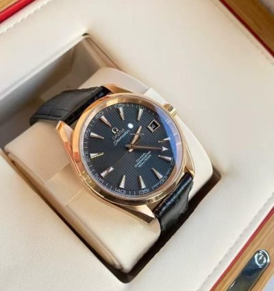 Omega Seamaster Aqua Terra 231 53 42 21 06 001