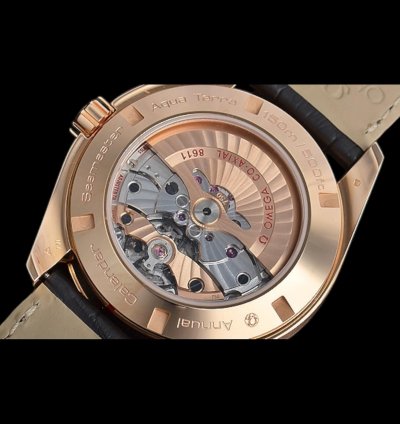 Omega Seamaster Aqua Terra Automatic Men Leather Watch
