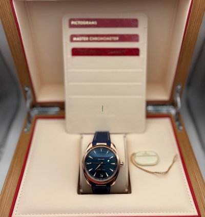 Omega Seamaster Aqua Terra Master 18k Gold