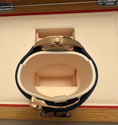 Omega Seamaster Aqua Terra Master Chronometer 2022 Omega Aqua Terra Sedna Gold Full Set Caseback Sticker