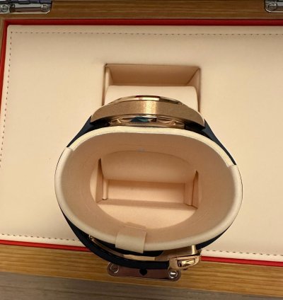 Omega Seamaster Aqua Terra Master Chronometer 2022 Omega Aqua Terra Sedna Gold Full Set Caseback Sticker