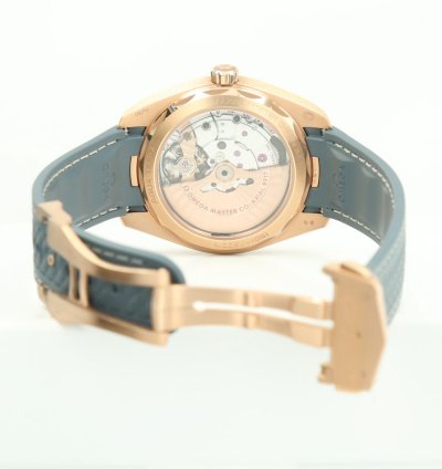 Omega Seamaster Aqua Terra Sedna Gold
