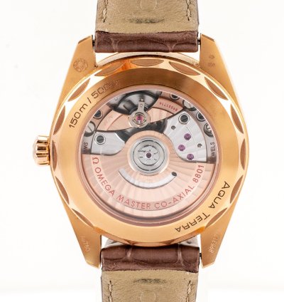 Omega Seamaster Aqua Terra Sedna Gold