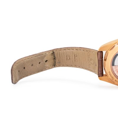 Omega Seamaster Aqua Terra Sedna Gold