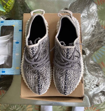 Yeezy Boost 350 Turtle Dove 2015