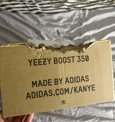 Yeezy Boost 350 V2