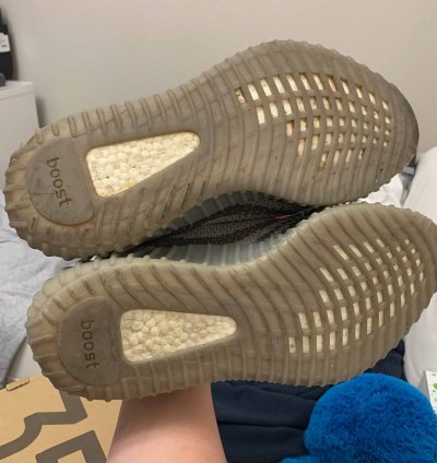 Yeezy Boost 350 V2 Beluga