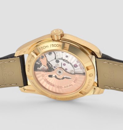 Omega Seamaster Aqua Terra Yellow Gold 39mm
