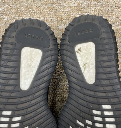 Yeezy Boost 350 V2 Bred 2017