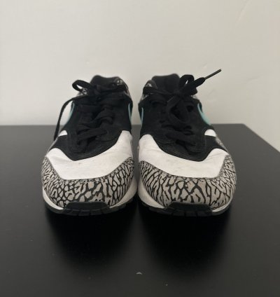 2017 Nike Atmos Elephant
