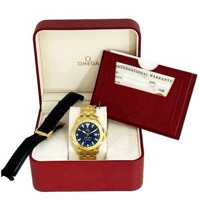 Omega Seamaster Diver 300 Gmt
