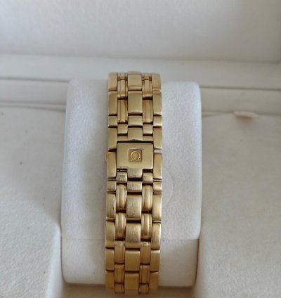 Omega Seamaster Diver 300 Gmt Full Gold Omega Watch