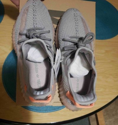 Yeezy Boost 350 V2 True Form