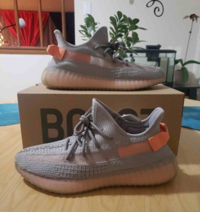 Yeezy Boost 350 V2 True Form