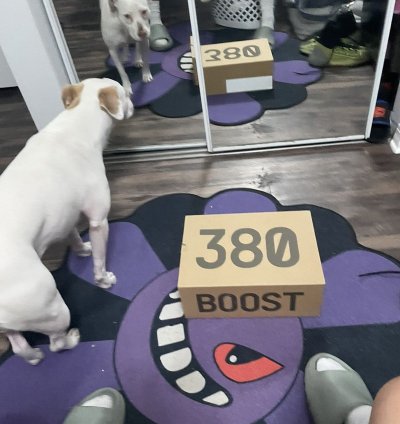 Yeezy Boost 380 Yecoraite