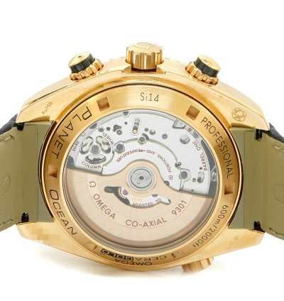 Omega Seamaster Planet Ocean Chronograph 600m Sedna - Inventory 7082