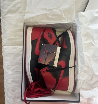 Air Jordan 1 Bred Banned