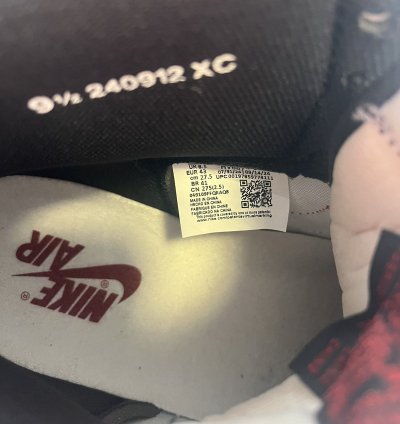 Air Jordan 1 Bred Banned