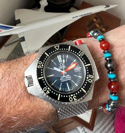Omega Seamaster Ploprof 600 Seamaster Ploprof 1972 Full Restoration
